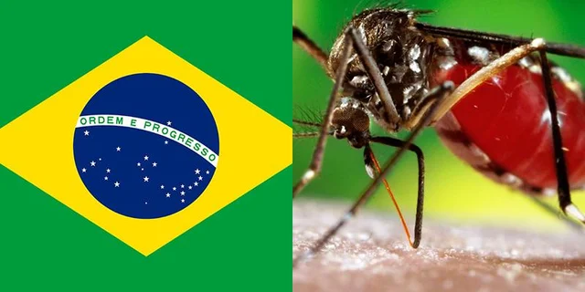 brasil dengue